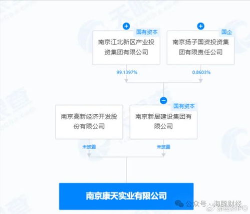 電大大專生研發(fā)政務(wù)軟件變身大股東 大漢軟件實(shí)控人疑點(diǎn)重重